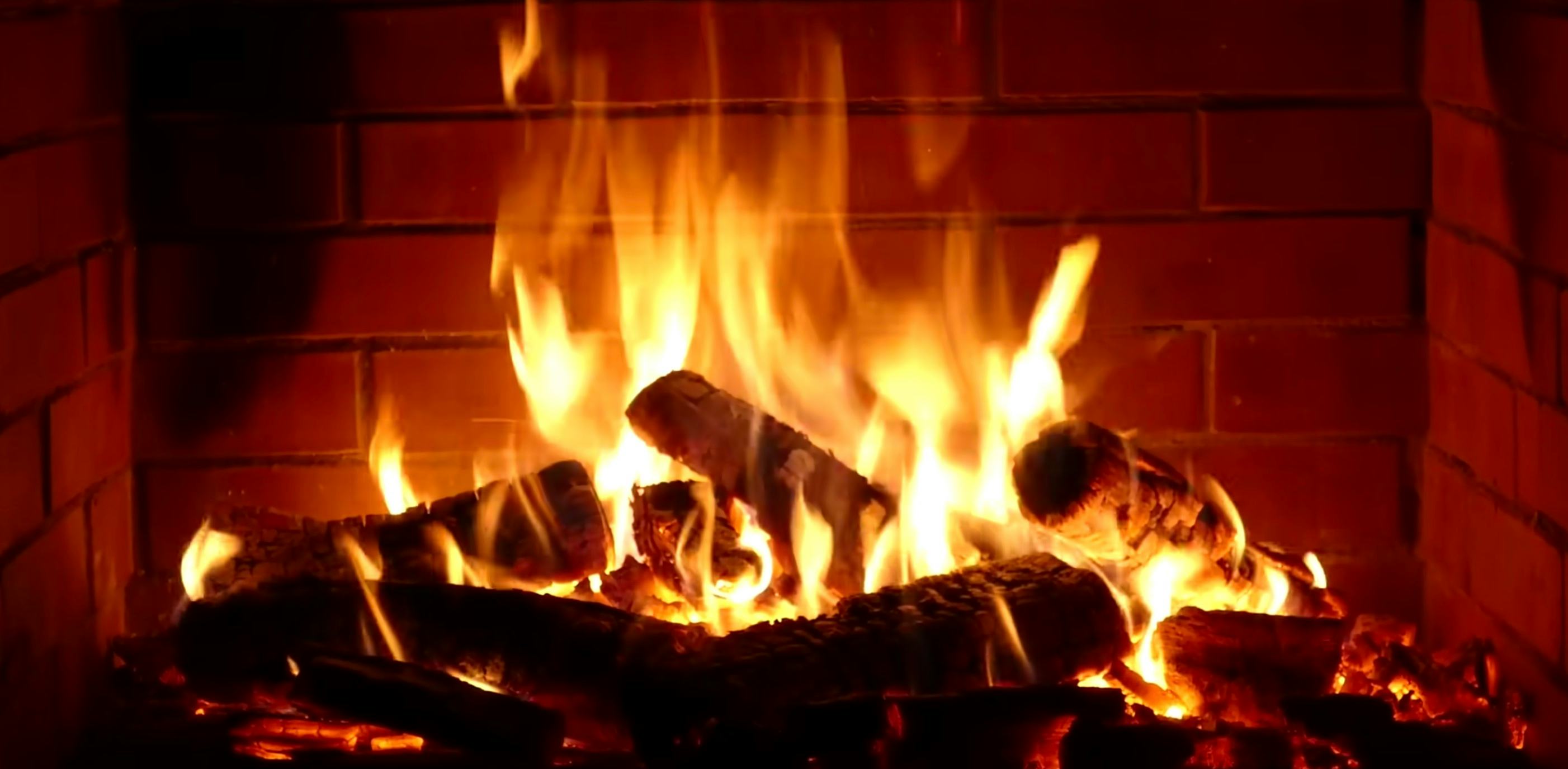 The holiday movie that best fits Taurus' vibe is the Yule Log.