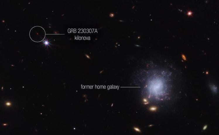 photo of a field of galaxies in space, with a small point of light labelled "kilonova" and a galaxy ...
