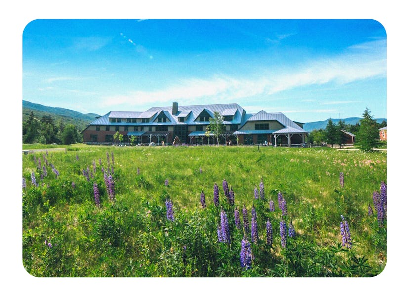 An expansive lodge sits in the distance, behind a field of grass and purple wildflowers.