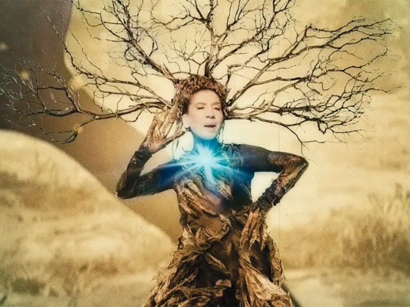 Sussan Deyhim as Mother Muse in Once Within A Time