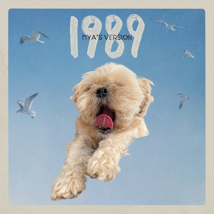 Here's how to make your own 1989 (Taylor's Version) album cover.