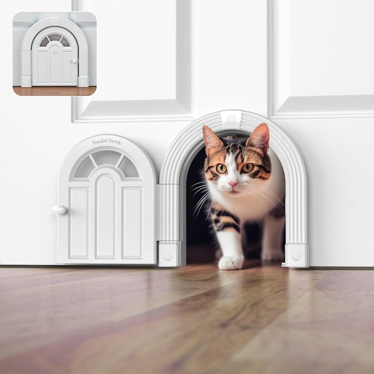 Purrfect Portal Cat Door