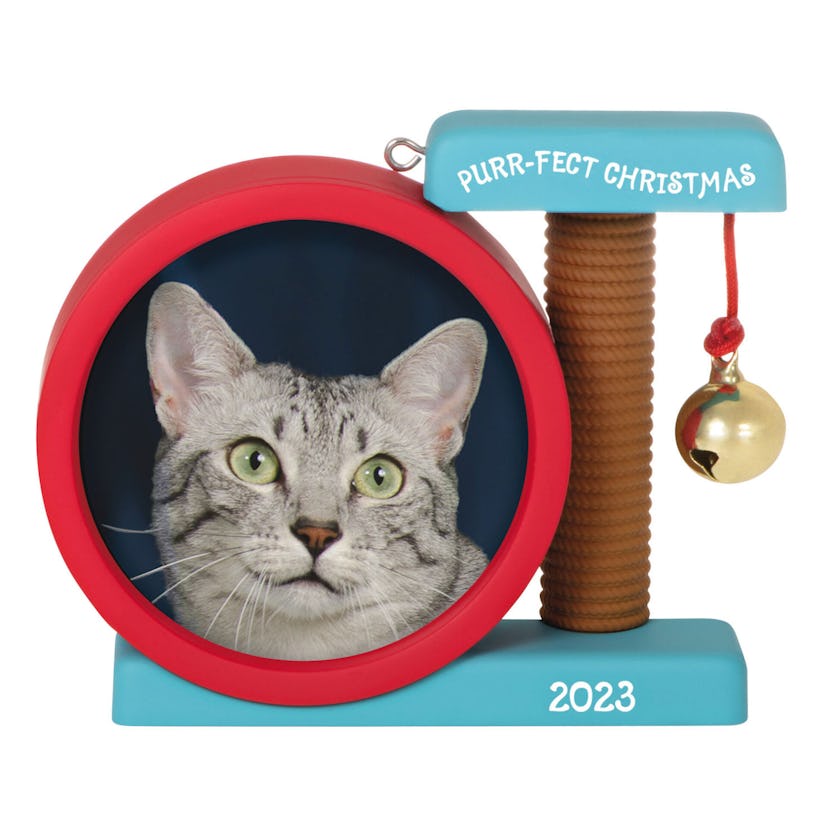 Purr-fect Christmas 2023 Photo Frame Ornament