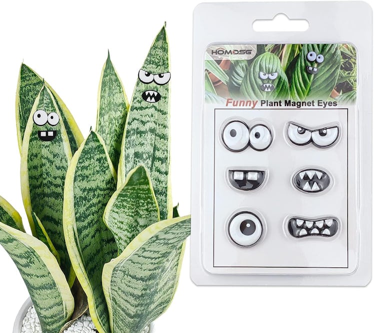 HOMDSG Monster Plant Magnets (6-Pack)