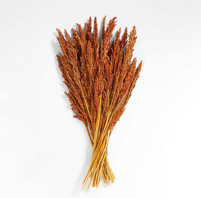 Orange Dried Sudan Grass Bunch