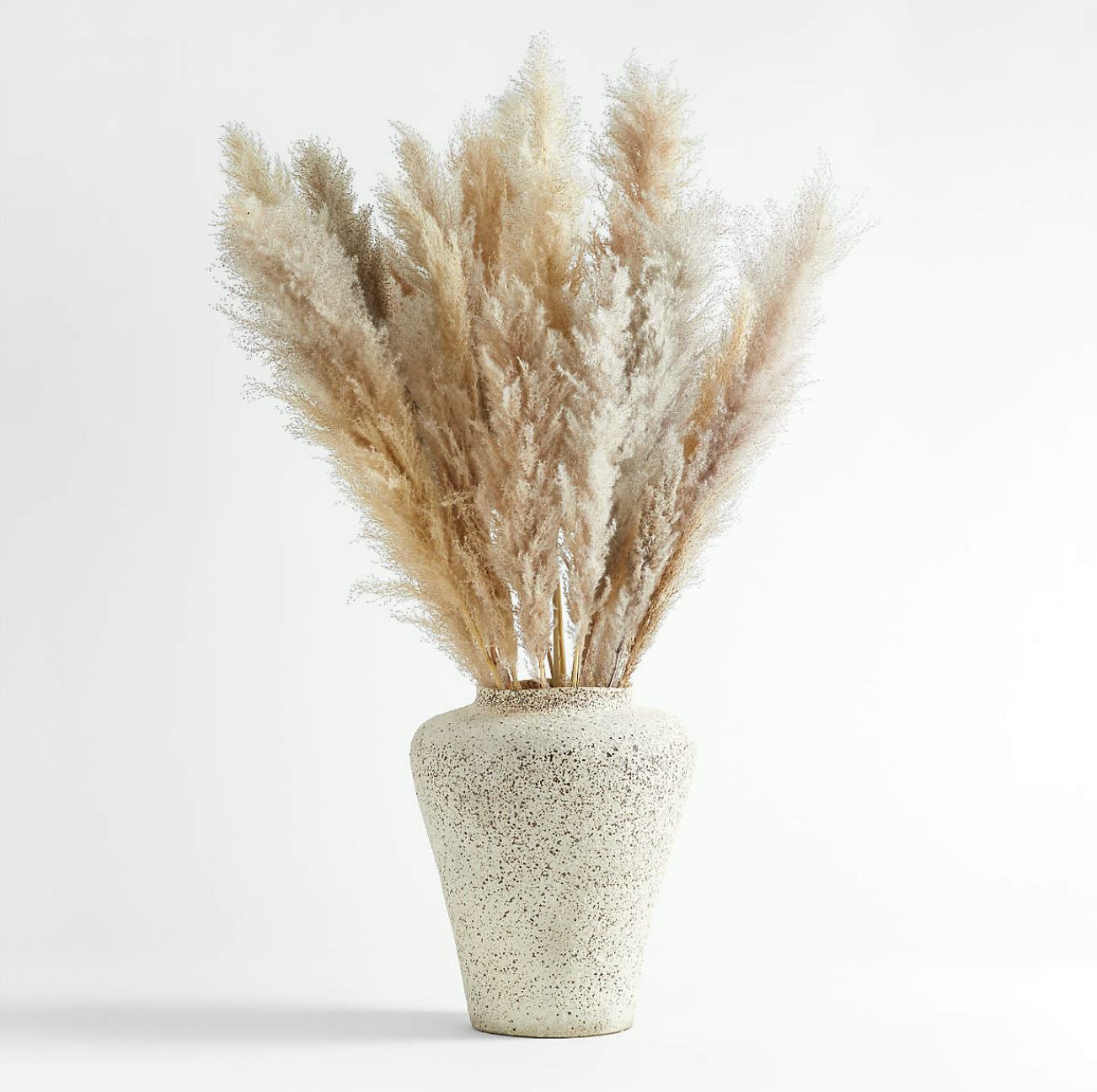 Grass Plume Dried Botanicals