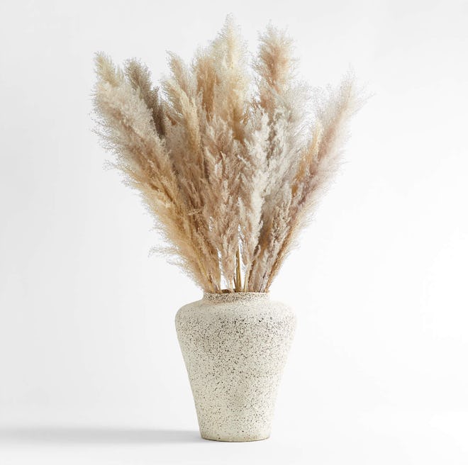 Grass Plume Dried Botanicals