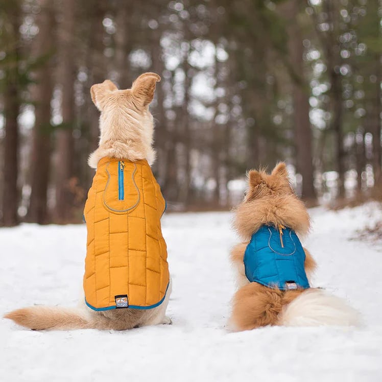 Loft Jacket
