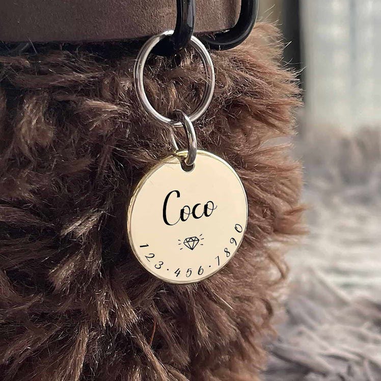 Acatinthetree Personalized Pet Collar Tag