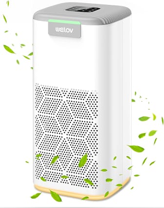 Welov Air Purifier