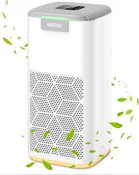 Welov Air Purifier