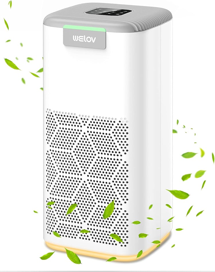 Welov Air Purifier