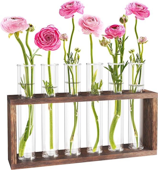 Veakoo Plant Terrarium with Wooden Stand