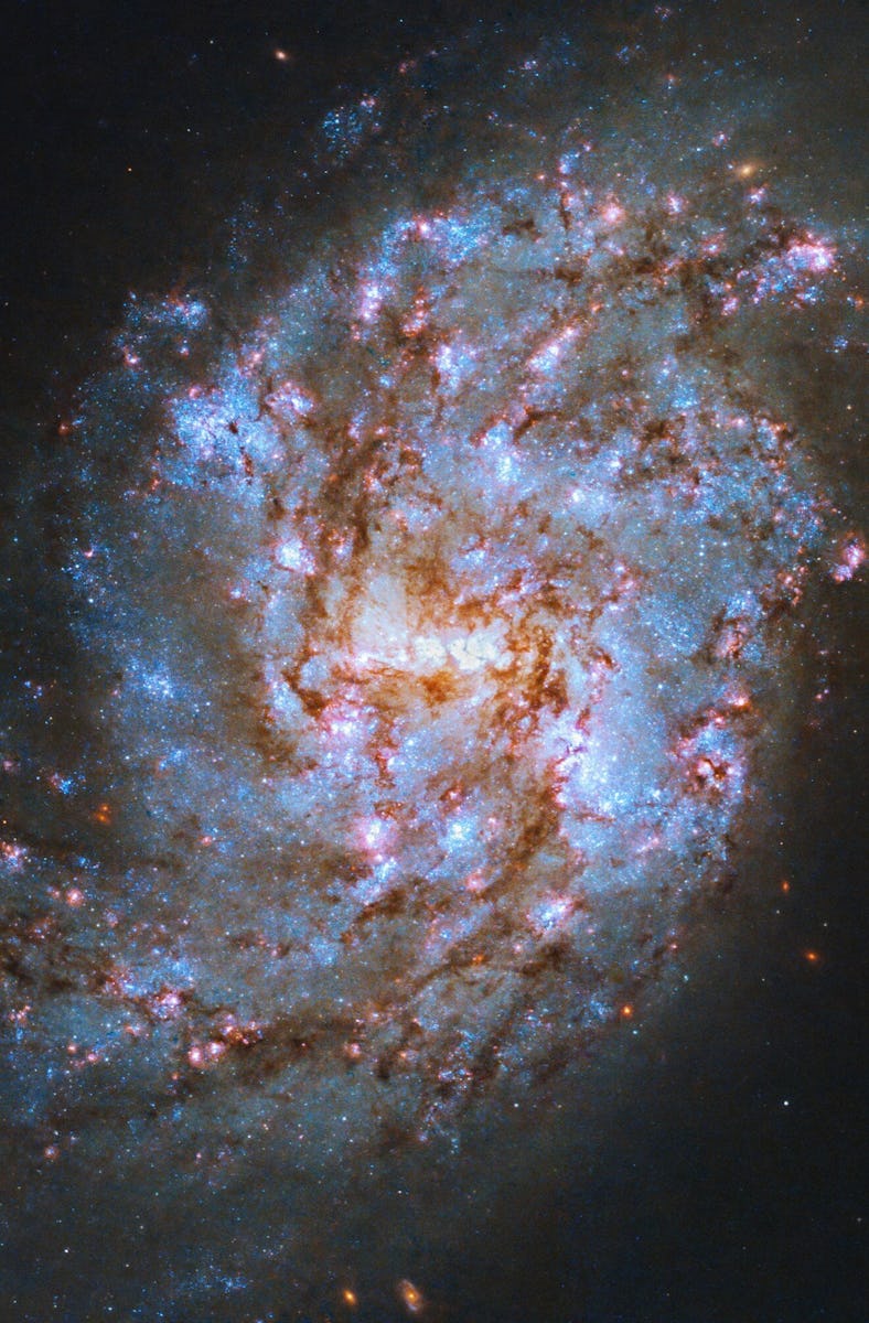 image of a spiral galaxy with glowing blue-white stars overlaid by a web of reddish brown dust, on a...
