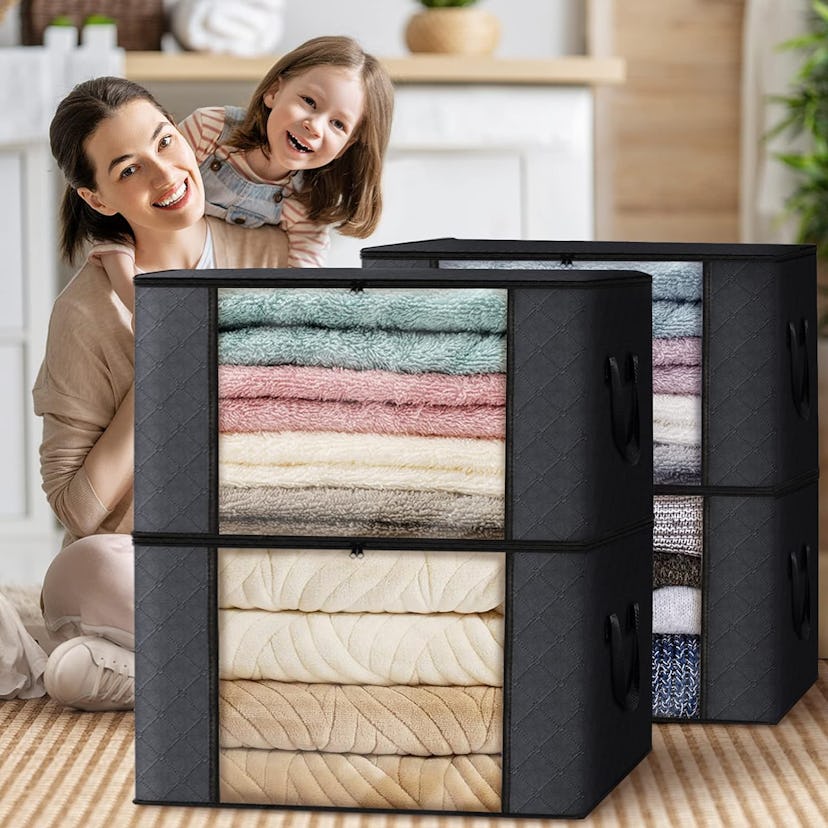 Fab Totes Clothes Storage Cubes (2-Pack)