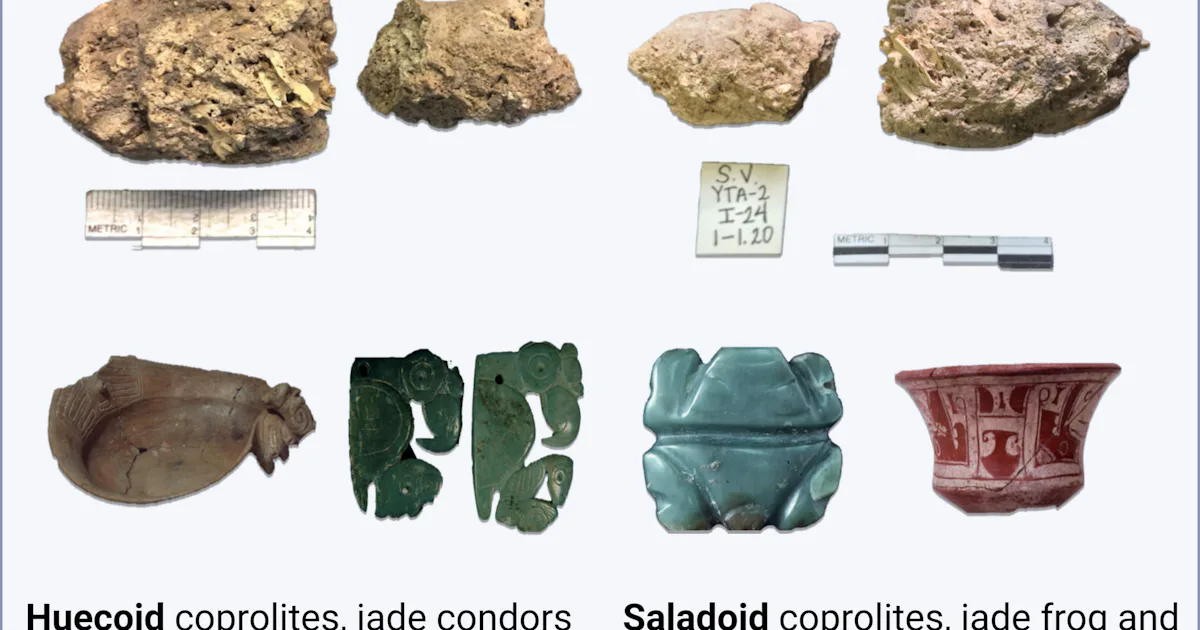 This 1500-Year-Old Human Poop Sample Reveals Something Strange About ...