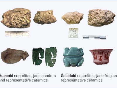 Coprolites and artifacts recovered from the Huecoid and Saladoid archaeological sites.