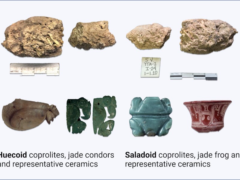Coprolites and artifacts recovered from the Huecoid and Saladoid archaeological sites.