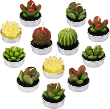 SCENTORINI Cactus Tealight Candles (12-Pack)