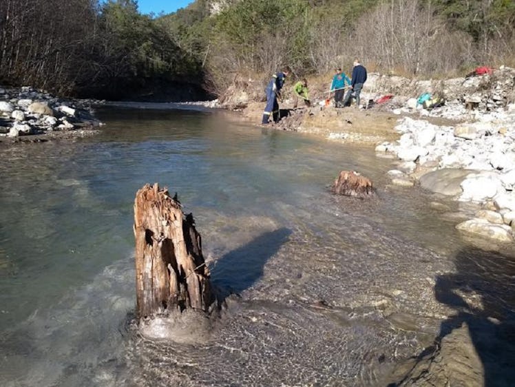 photo of a very old tree stump in a river with a group of people in the background