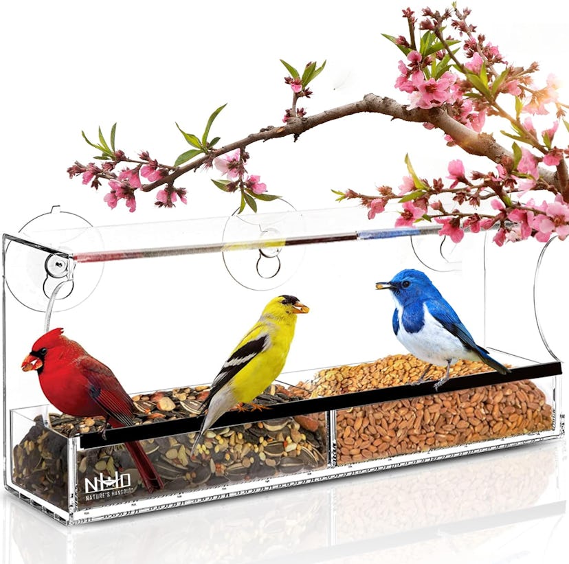 Nature's Hangout Window Bird Feeder with Suction Cups