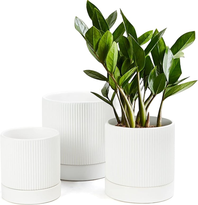 LaDoVita 3 Pack Ceramic Plant Pots 6/5/4 inch
