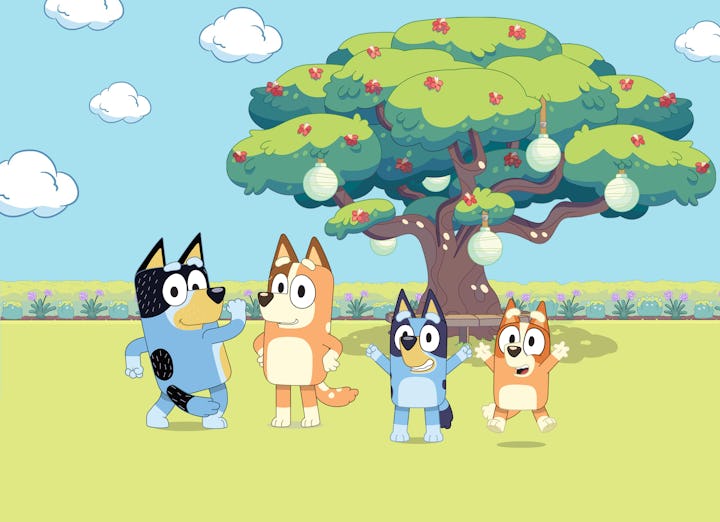 'Bluey' Family Tree: How Bingo, Bandit, Chilli, & More Characters Are ...