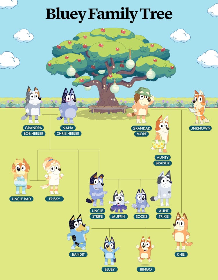 The 'Bluey' family tree.