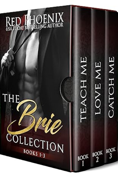 the brie collection is one of the dirtest erotica books on amazon kindle.