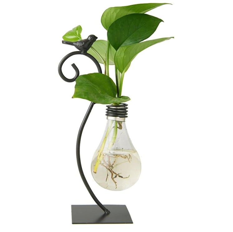 Marbrasse Desktop Glass Planter Hydroponics Vase