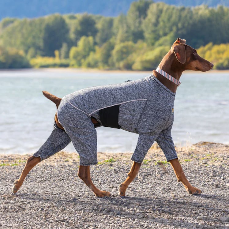 Stowe Base Layer