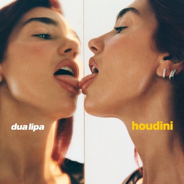 Artwork for Dua Lipa's song "Houdini."