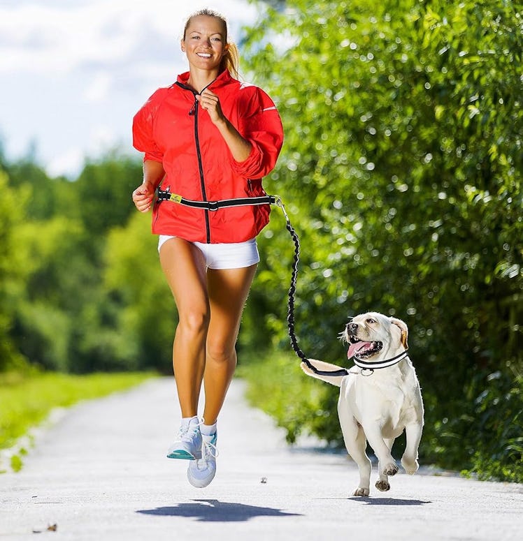 Hertzco Hands-Free Leash