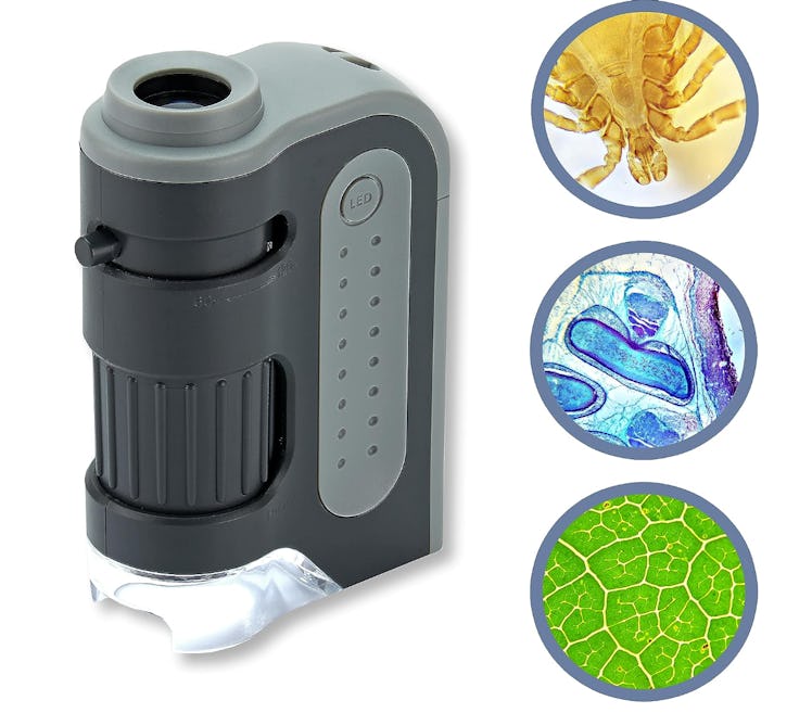 Carson Pocket Microscope