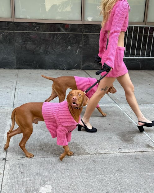 November fashion news