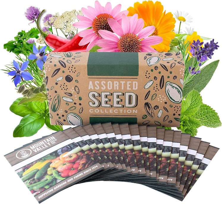 Medicinal & Herbal Tea Garden Seed Collection - 18 Non-GMO Herb Seed Packets