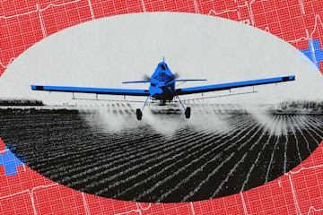 A plane spraying insecticides on a field of crops.