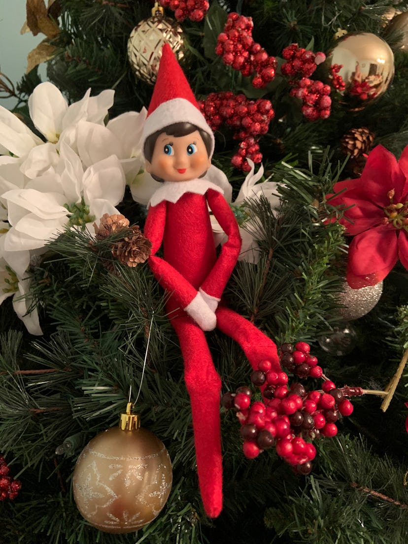 elf on the shelf sitting on the branches of the christmas tree