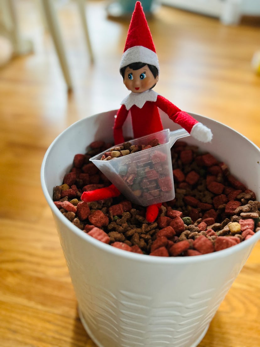 elf on the shelf sitting in a bowl of dog food holding the scooper