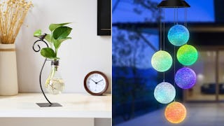 Weird But Genius Gifts On Amazon For When You Don't Know What To Give