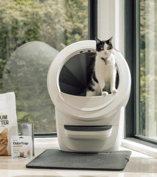 See How Litter-Robot Works