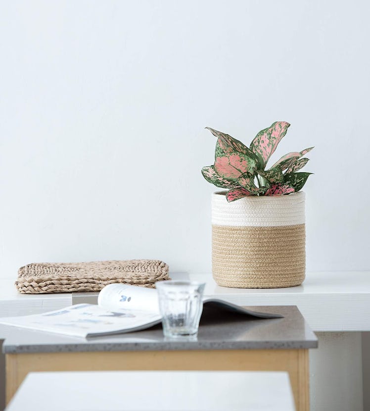 Dahey Small Cotton Rope Plant Basket