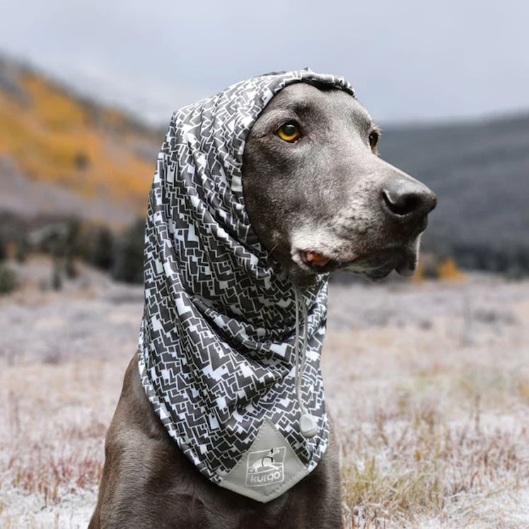 Scruff Scarf