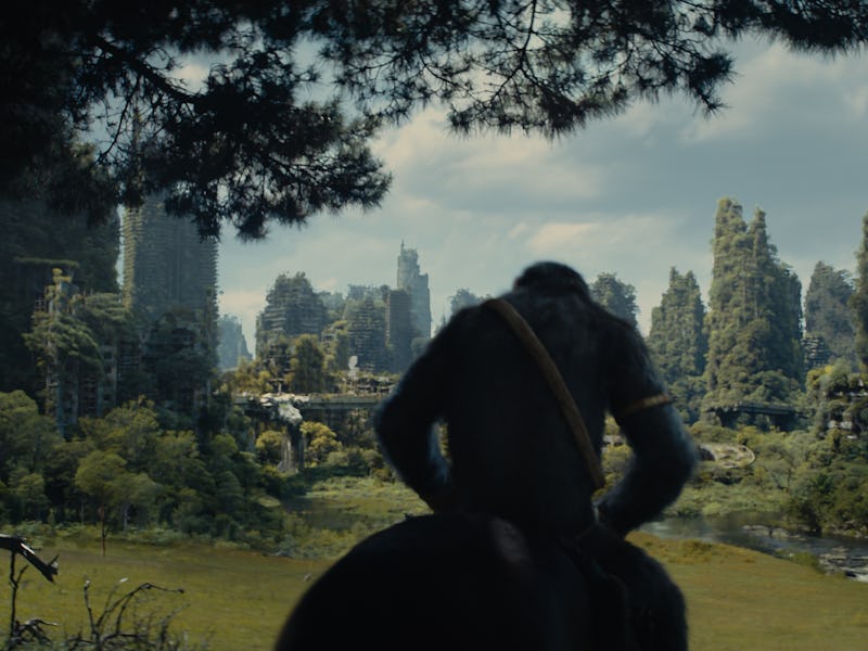 Kingdom of the Planet of the Apes