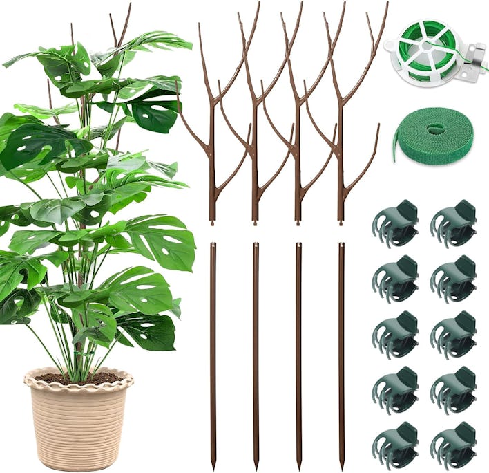 ROADPLUM Plant Support Stakes (4-Pack)