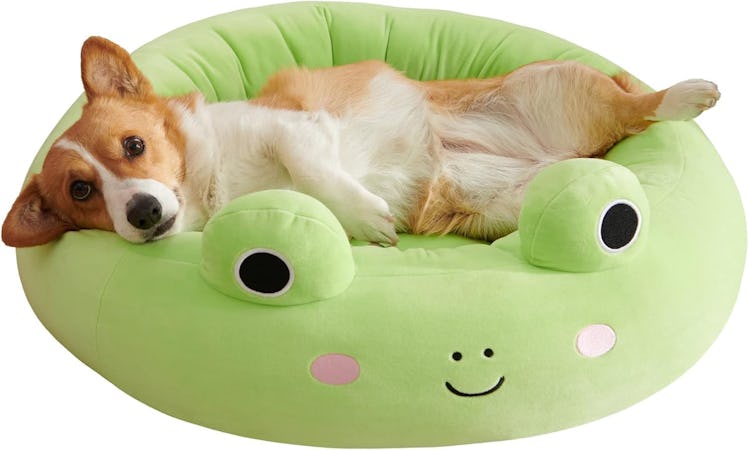 Squishmallows Wendy Frog Pet Bed