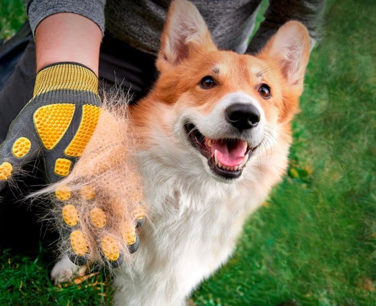 Pawradise Pet Grooming and Bathing Gloves