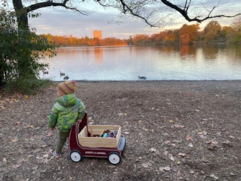 RadioFlyer Classic Push Walker Wagon