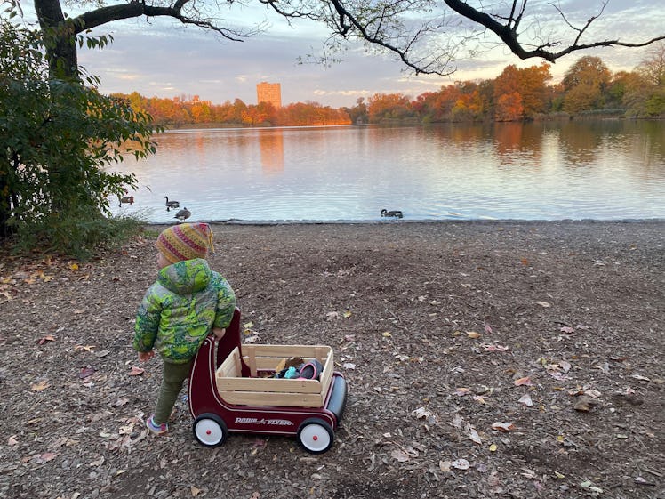 RadioFlyer Classic Push Walker Wagon