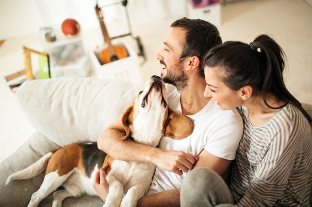 A couple cuddles on the couch with their dog.